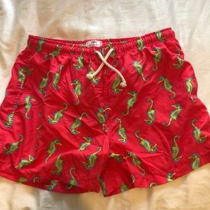 Zara swim trunks